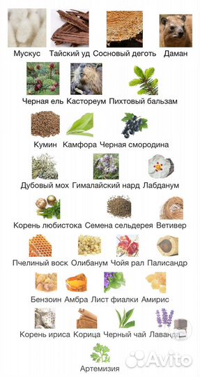 Prin Lomros распив ароматов