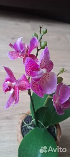 Искусственные цветы в горшке