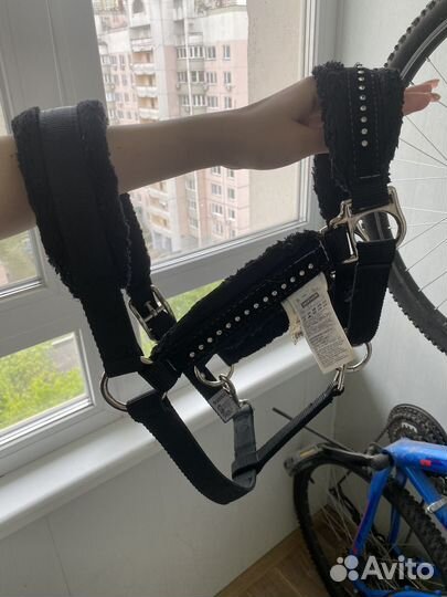 Недоуздок для лошади