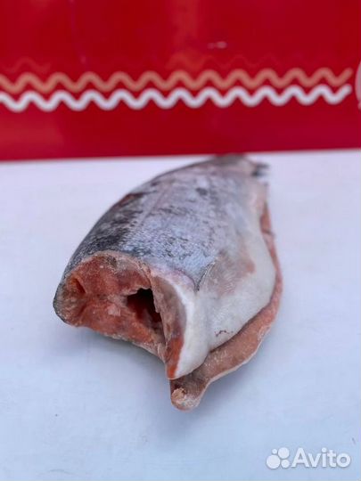 Форель Турция 1,4-1,8 / 2,7-3,6кг