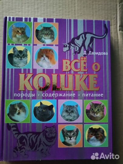 Книга Все о кошках