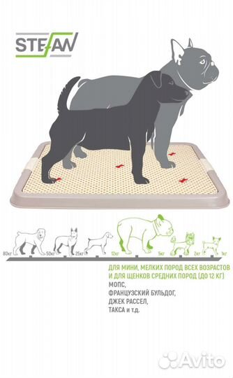 Собачий лоток