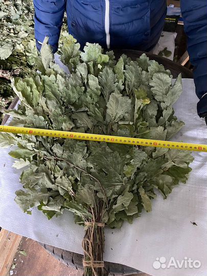 Веник дубовый сбор 2023