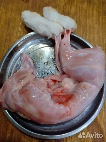 Мясо кролика (свежая крольчатина)