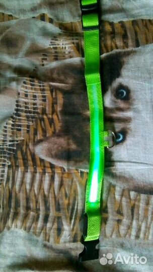 Ошейник с подсветкой для собак