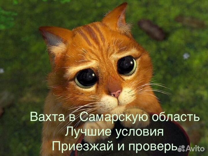 Комплектовщик Вахта Самара (пит+прож)