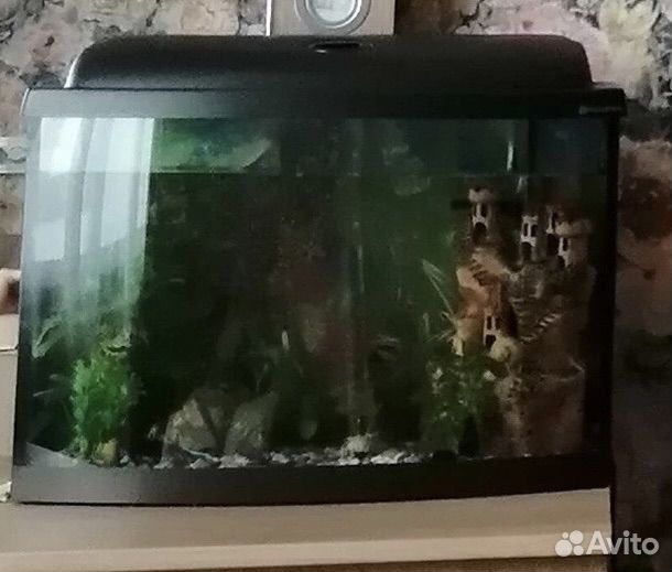 Аквариум с подсветкой