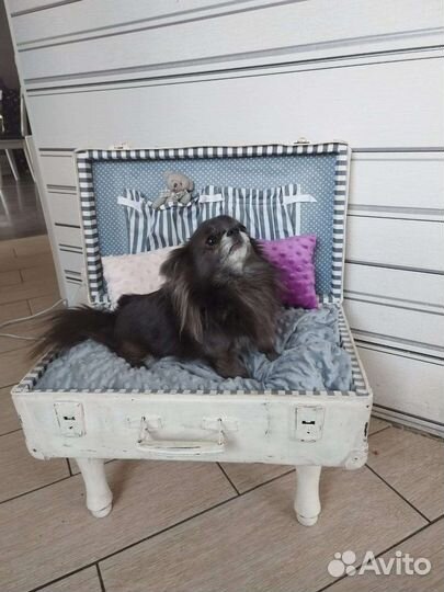 Чемодан декоративный