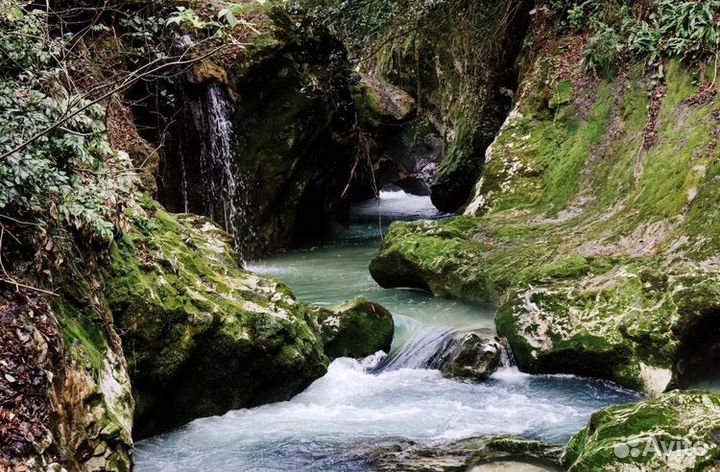 Экскурсии в Абхазию Черниговка Сухум Источник