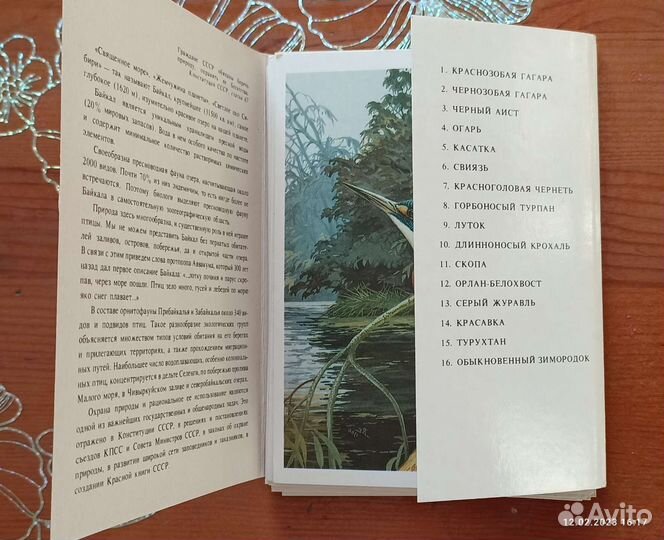 Наборы открыток СССР. Птицы России. Байкал