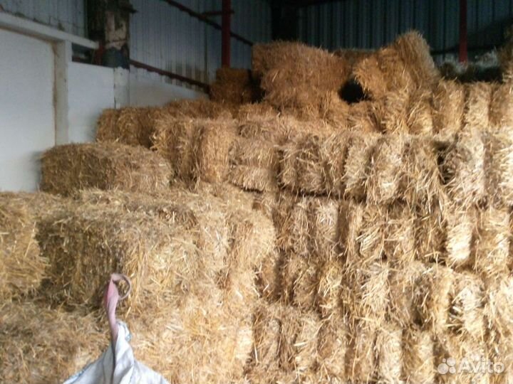 Солома в тюках