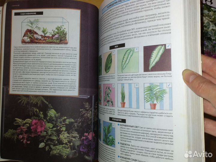 Книга о комн.растениях (Садовая