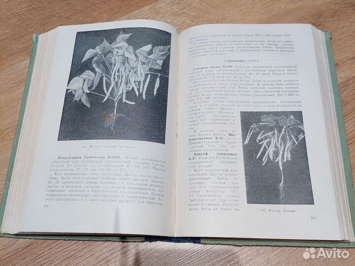 Семеноводство овощных культур Ушакова Е.И. 1953г
