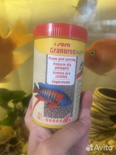 Корм для рыбок цыхлид