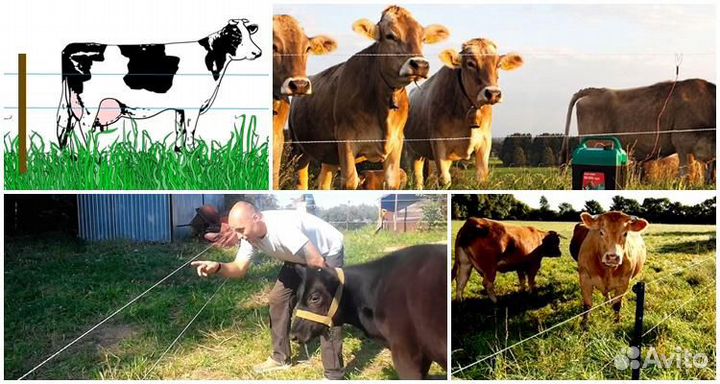 Электро-пастух для крс на 4 га (гектара)