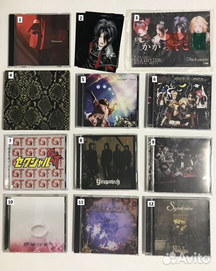 Miyavi / the fool / Girugamesh и др
