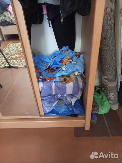 Женские вещи пакетом 50 52