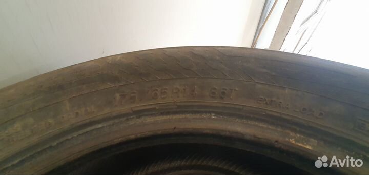 Yokohama Ice Guard Stud IG55 175/65 R14