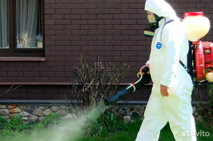 Уничтожение клопов тараканов