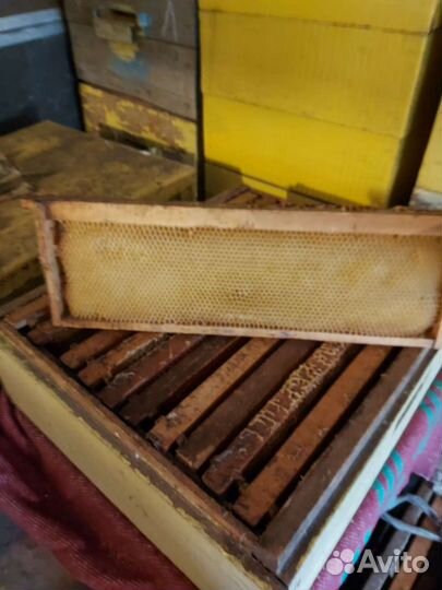 Рамки для ульев сушь