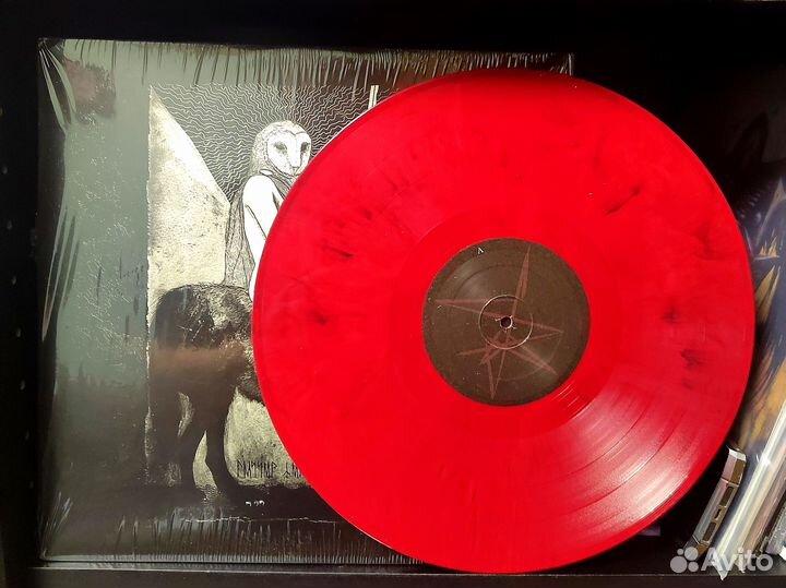 Metalcore - Post Hardcore - Progressive LP