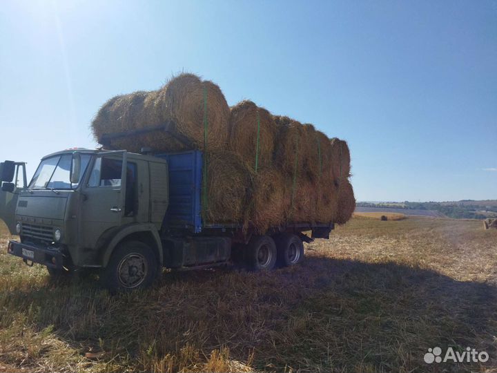 Перевозка Сена