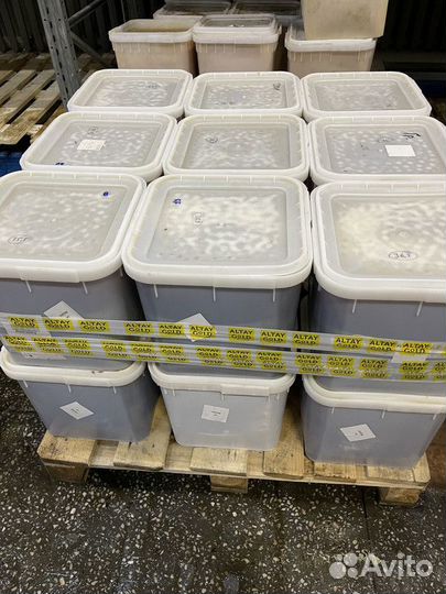 Свежий. Натуральный мед оптом