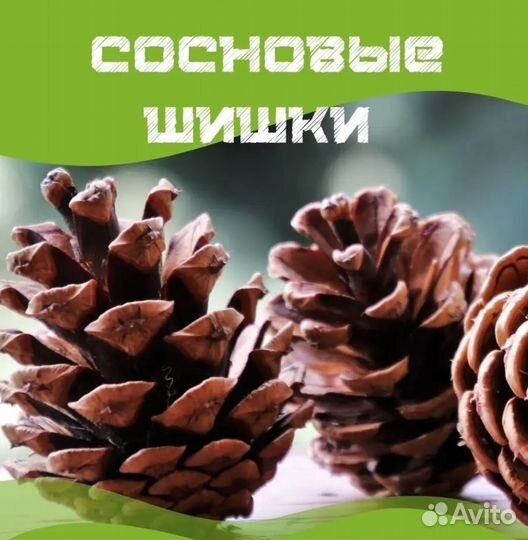 Сосновые шишки пакет 30 шт