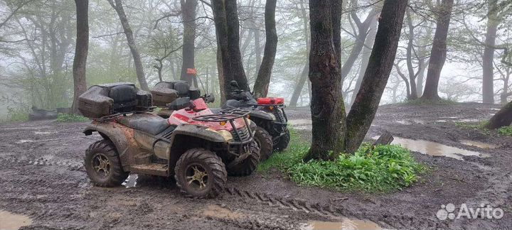 Прокат квадроциклов