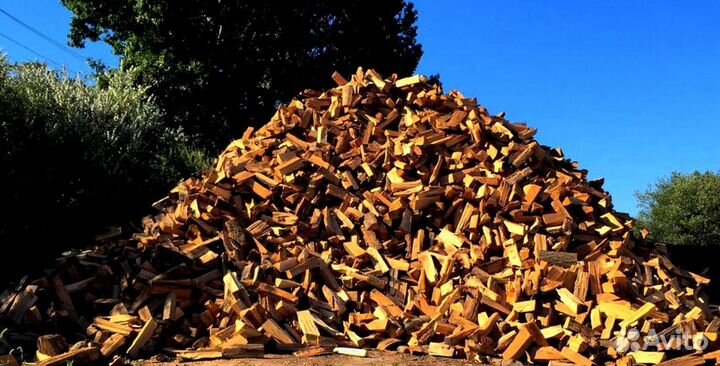 Дрова по оптовым
