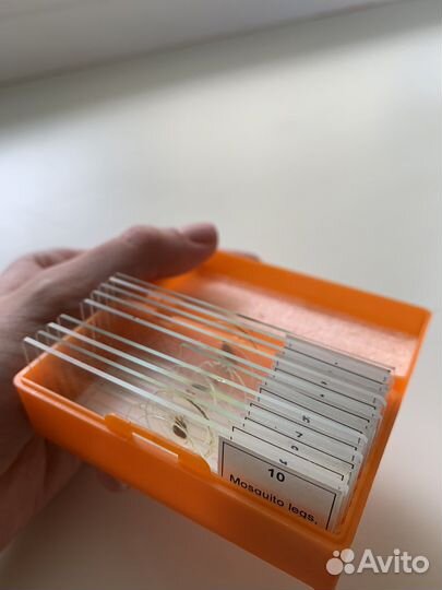 Набор готовых микропрепаратов levinhuk