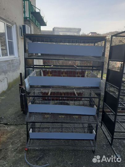 Клетка для перепелов 4 ярусная