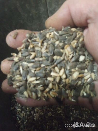 Просо, пшеница,семечки,смесь,кукуруза