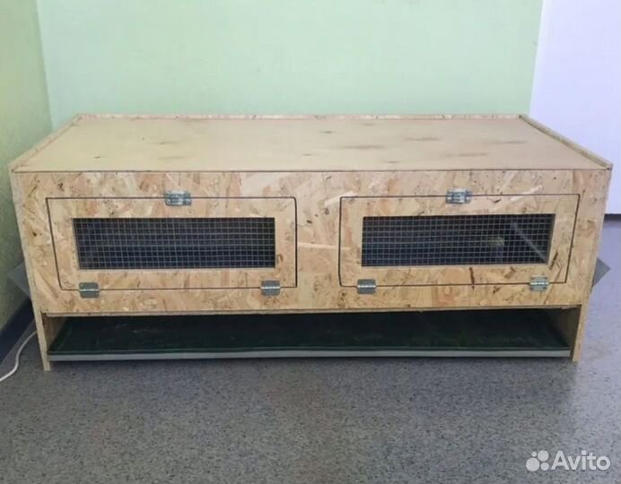 Брудер для цыплят