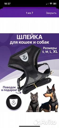 Одежда для собак