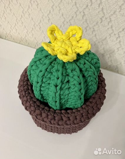 Шкатулка кактус в интерьер