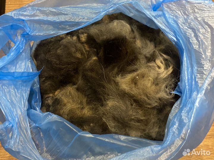 Кошачья шерсть