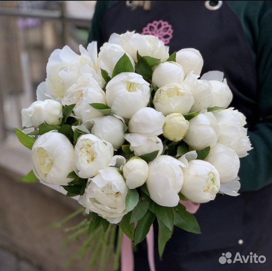 Пионы Живые Цветы Букеты Корзины Доставка