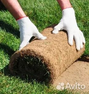 Газон от производителя