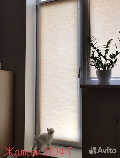 Рулонные шторы Лофт