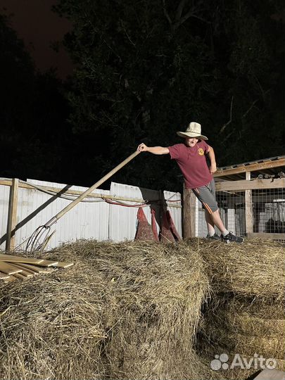 Уборщик за животными,конюх