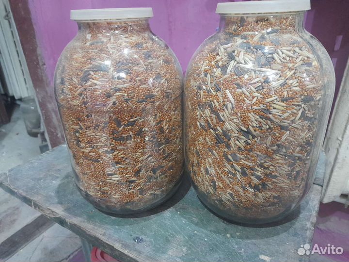 Корм для попугаев