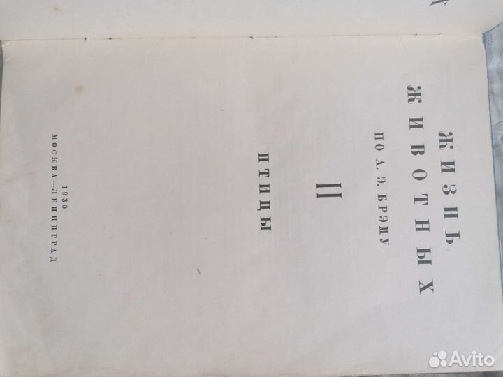 Брем, жизнь животных II том, 1930г