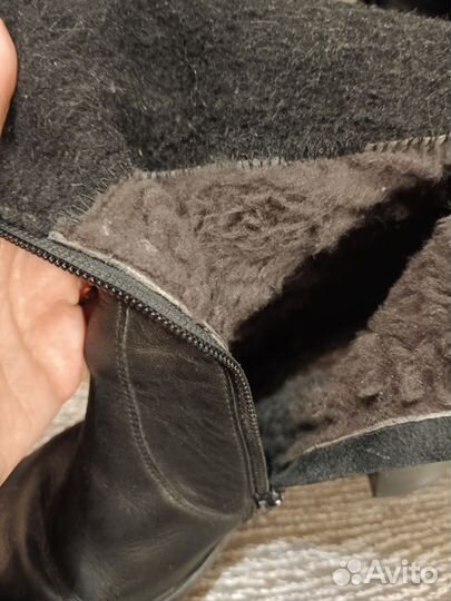 Сапоги женские Ralf ringer, 26,5 см,нат. кожа