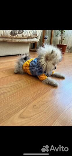 Свитер для собаки