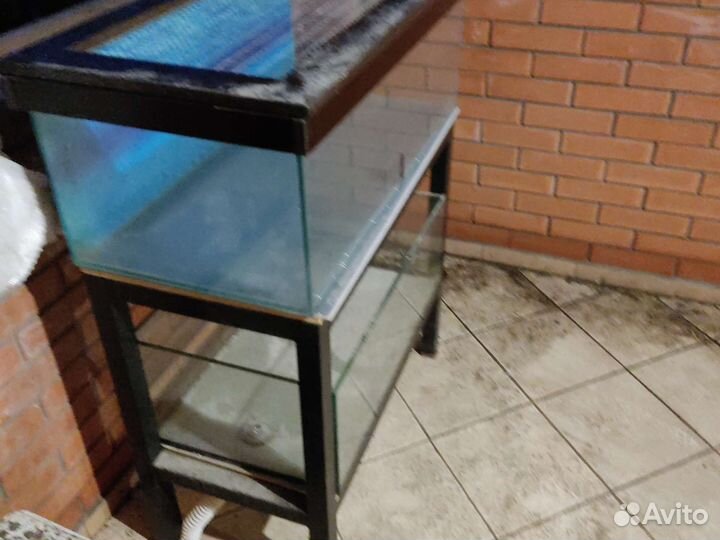 Аквариум/Террариум