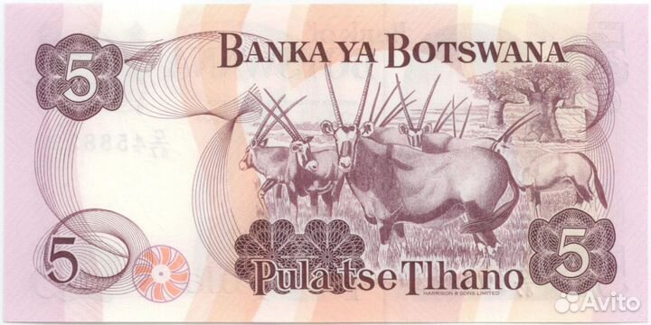 5 пул (1992) года, Ботсвана