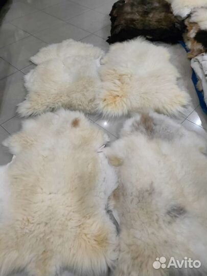 Овечья шкура 1,2-1,3 метра