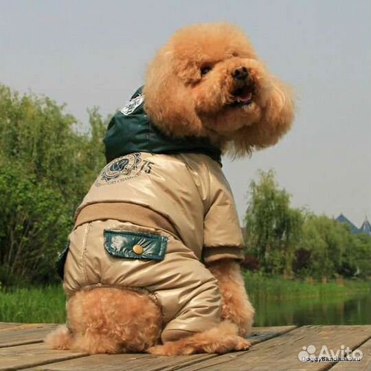 Комбинезон для собак 