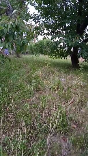 Участок 4 сот. (СНТ, ДНП)